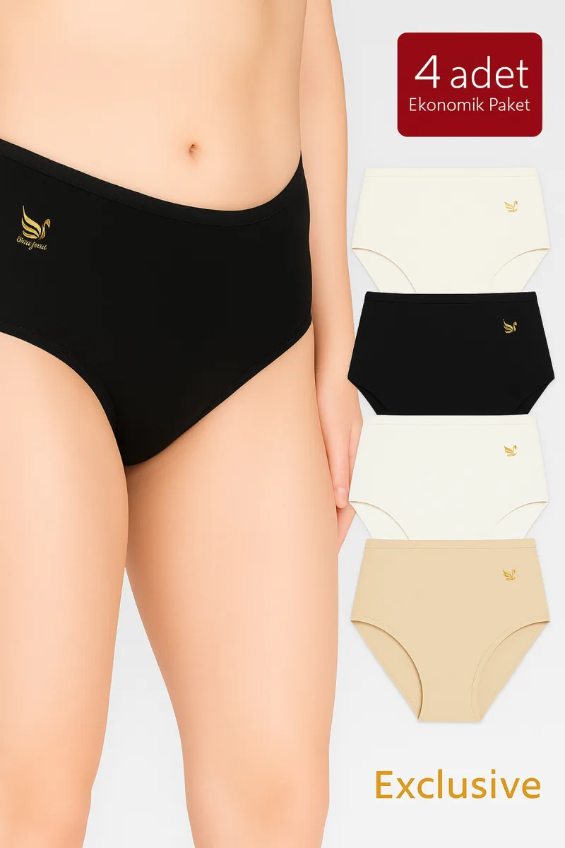4'lü Paket Kadın Pamuklu Modal Bato Yüksek Bel Külot | Asorti K23922