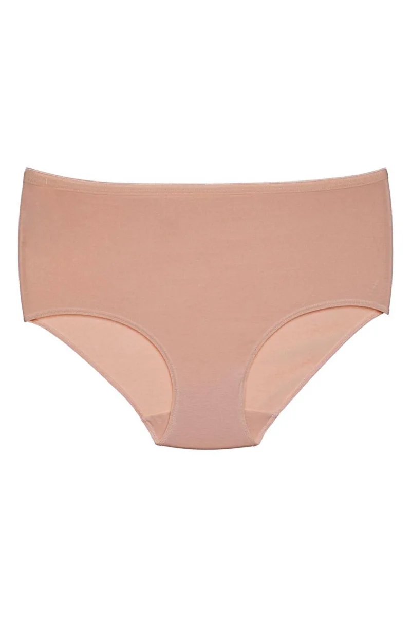 Kadın Pamuklu Yüksel Bel Modal Külot | Ten 1851