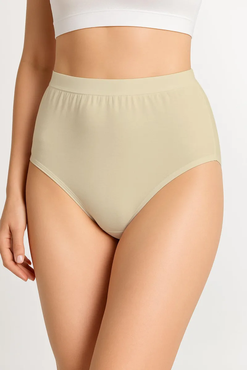 Kadın Toparlayıcı Bato Külot | Ten 4020